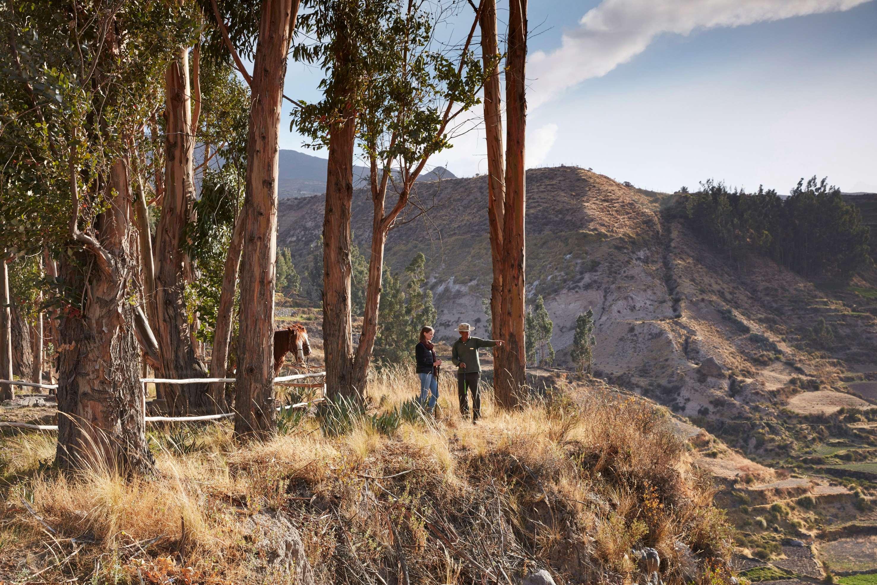 Las Casitas, A Belmond Hotel, Colca Canyon Yanque Dış mekan fotoğraf